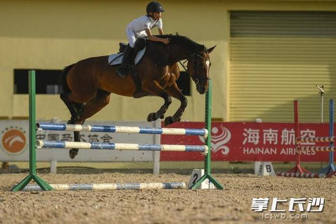 太原体育学院马术教练名单,太原马术俱乐部有那几家