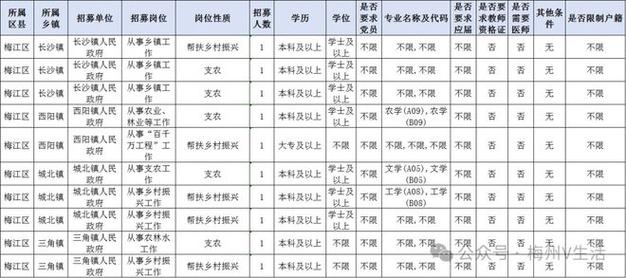 梅县元城小学体育老师名单,梅州元城小学招聘