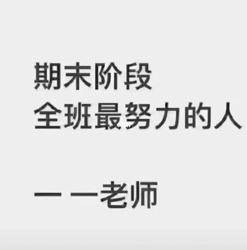 南坦小学体育老师名单公示,南坦小学体育老师名单公示图片