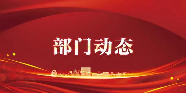 北海路小学体育篮球队名单,后海小学篮球队