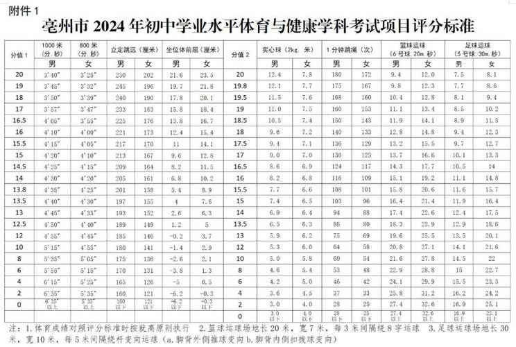 初中体育中考免考公示名单,中考体育免考生怎么计分