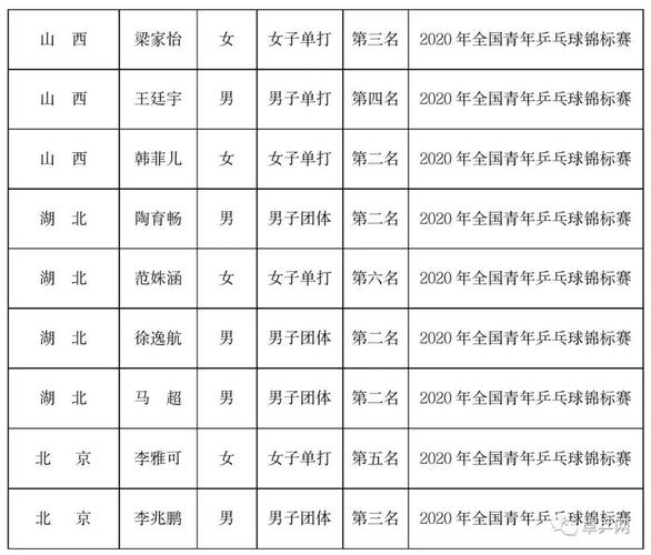 中国体育战将名单表格填写,现在中国体育名将