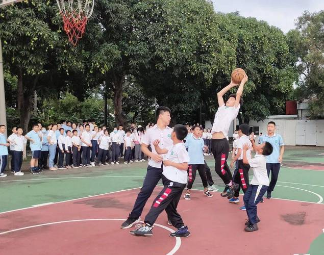 中山高平小学体育老师名单,中山高平小学体育老师名单公示