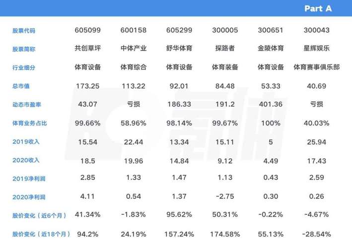 国内体育公司上市公司名单,中国十大体育上市公司