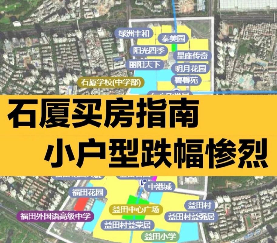 石厦小学体育老师名单图片,石厦小学老师介绍