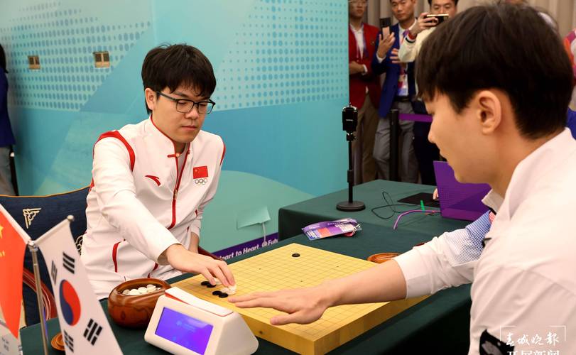 中国体育总局围棋教练名单,中国围棋主教练