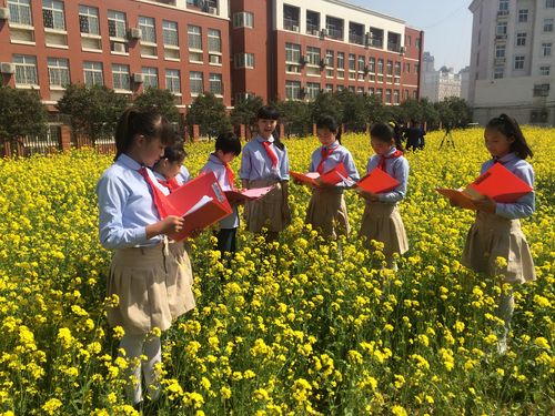 帝湖小学体育老师名单公示,帝湖小学招生简章