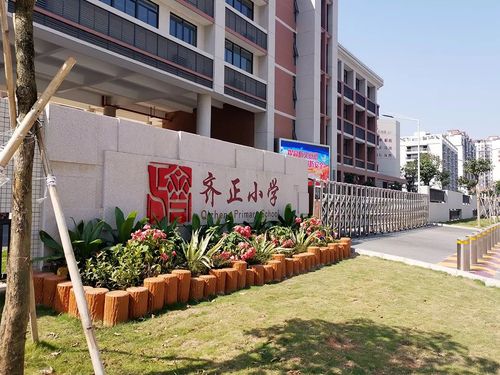 齐正小学体育老师名单图片,齐正小学体育老师名单图片