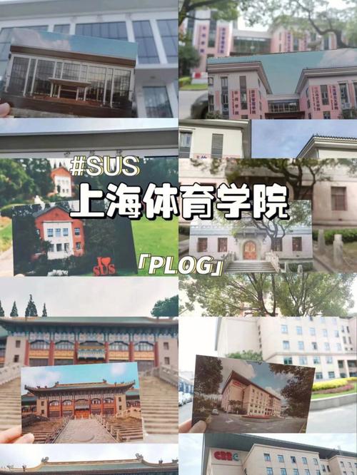 上海体育学院女篮单招名单,上海体育学院单招篮球