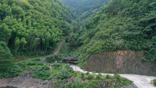 池州高坦中学体育老师名单,高坦中学校长