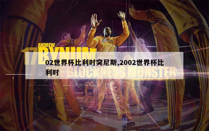 02世界杯比利时突尼斯,2002世界杯比利时