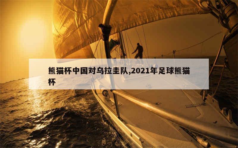 熊猫杯中国对乌拉圭队,2021年足球熊猫杯