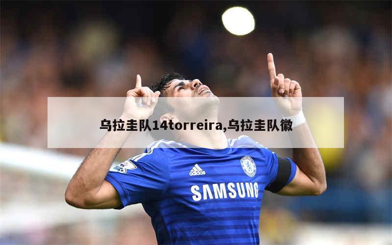 乌拉圭队14torreira,乌拉圭队徽