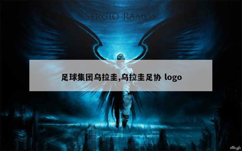 足球集团乌拉圭,乌拉圭足协 logo