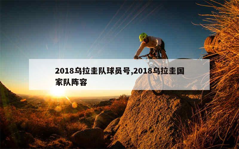 2018乌拉圭队球员号,2018乌拉圭国家队阵容