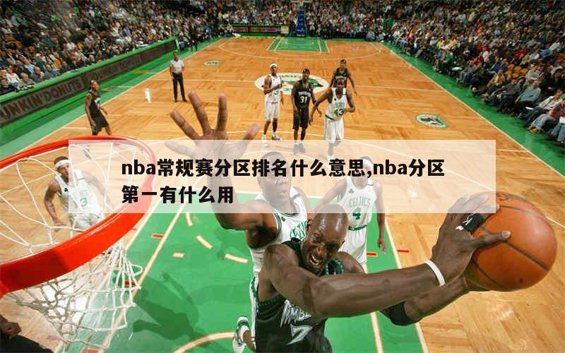 nba常规赛分区排名什么意思,nba分区第一有什么用