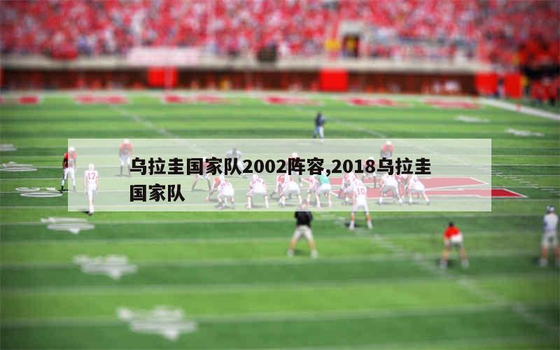 乌拉圭国家队2002阵容,2018乌拉圭国家队