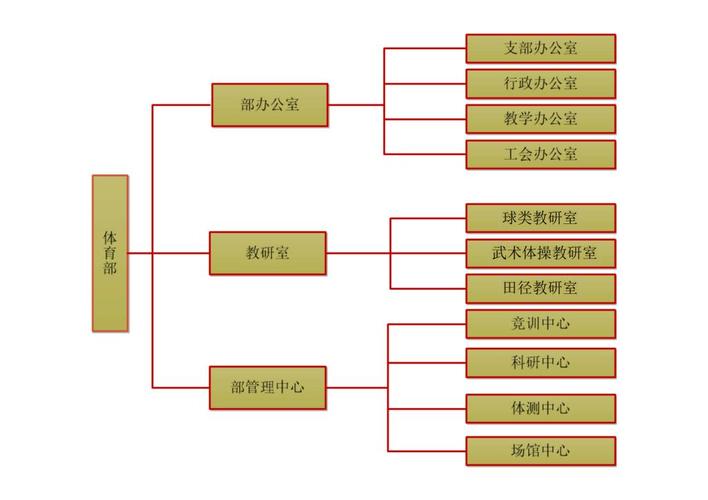 体育事业发展领导小组名单,体育事业发展中心内设机构