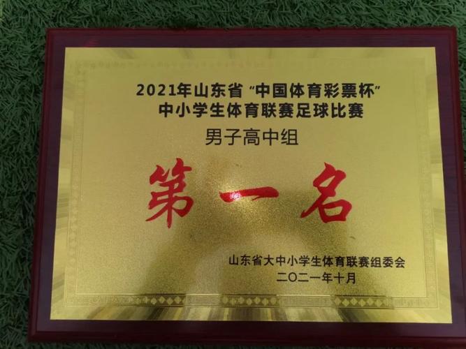 山东省级体育协会名单公示,山东省学校体育协会