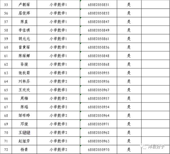 洞口特岗体育面试名单公示,洞口县特岗教师