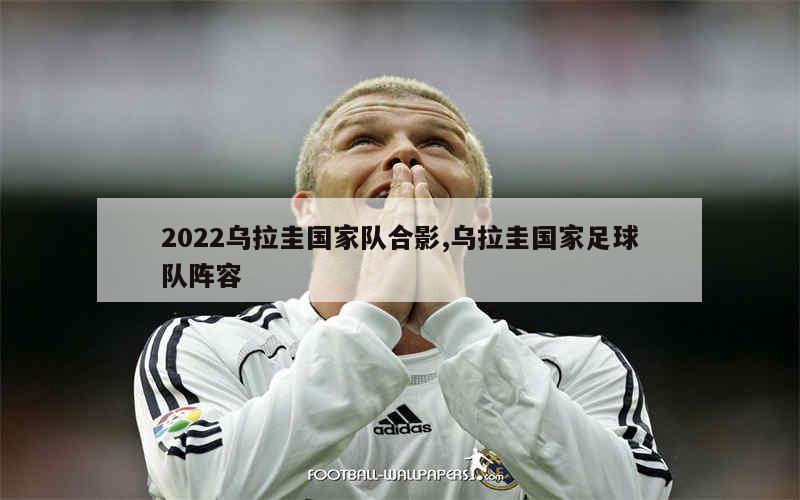 2022乌拉圭国家队合影,乌拉圭国家足球队阵容