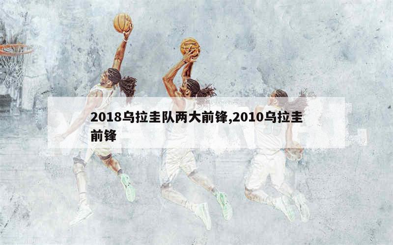 2018乌拉圭队两大前锋,2010乌拉圭前锋