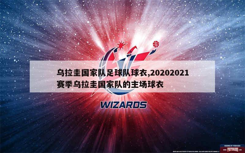 乌拉圭国家队足球队球衣,20202021赛季乌拉圭国家队的主场球衣