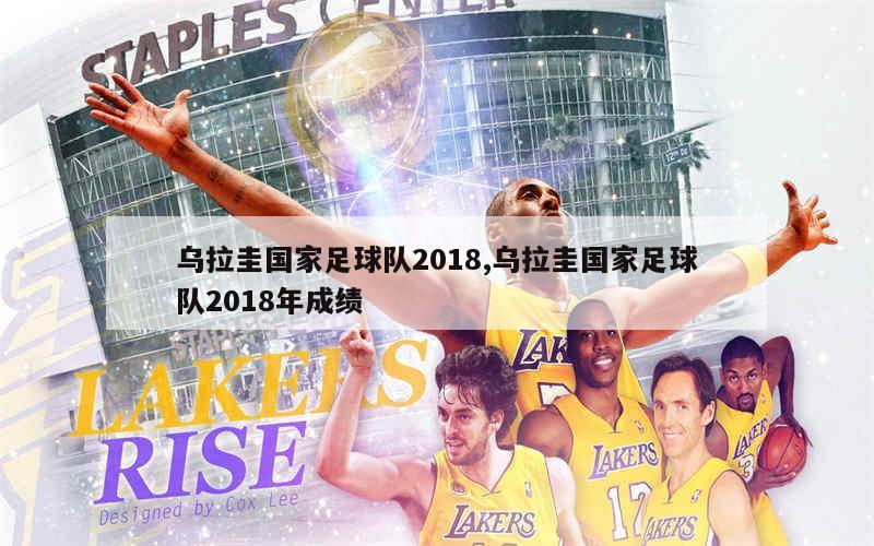 乌拉圭国家足球队2018,乌拉圭国家足球队2018年成绩