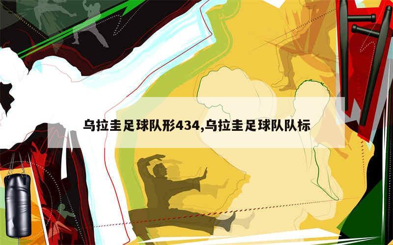 乌拉圭足球队形434,乌拉圭足球队队标