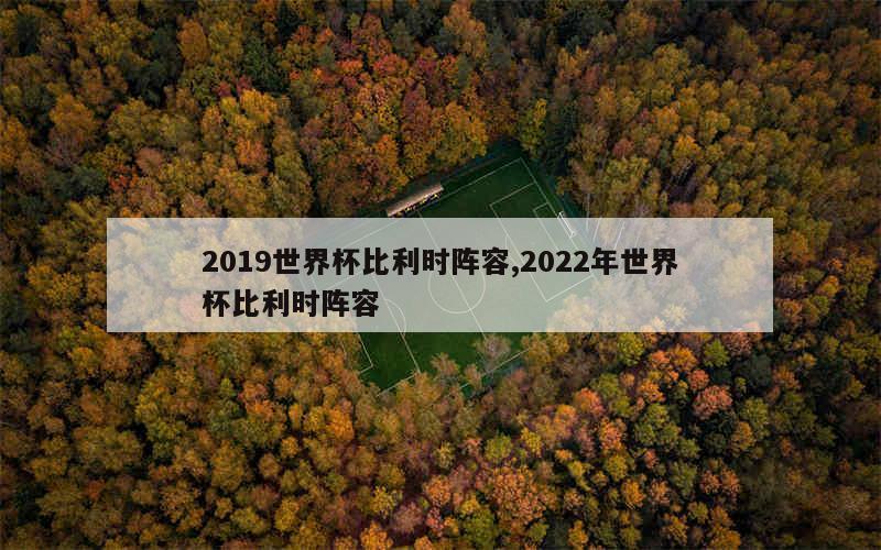 2019世界杯比利时阵容,2022年世界杯比利时阵容