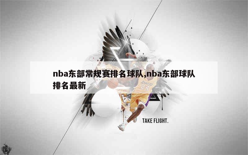 nba东部常规赛排名球队,nba东部球队排名最新