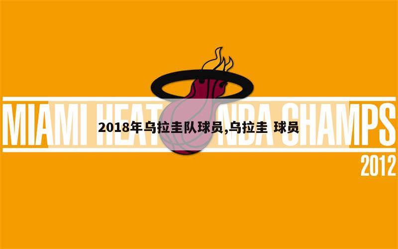 2018年乌拉圭队球员,乌拉圭 球员